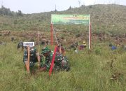 Kodim 1307/poso Tanam 700 pohon Nantu, Dalam Rangka Peringati HUT Ke 65 tahun KODAM XIII Merdeka