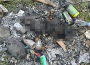 Ibu Kandung Tega Bakar Bayinya Sendiri, Akhirnya Diamankan Polisi