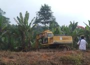 Pembersihan Areal HGU No.94 PTPN 2 Kebun Limau Mungkur Berlangsung Kondusif