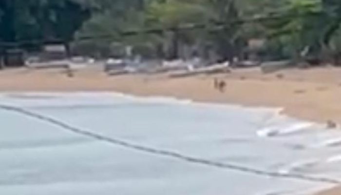 Begini pemandangan Pesawat Landing di Bandara Sultan Bantilan Tolitoli