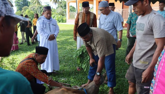 Peringati Hari Raya Idul Adha 1444 H Serta Hari Bhayangkara Ke-77 Polres Buol Gelar Qurban Presisi