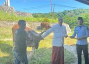 Rayakan Idul Adha 1444 H, Lapas Leok Lakukan Penyembelihan Hewan Qurban