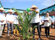 73 Hektar HGU Limau Mungkur Mulai Ditanam Ulang