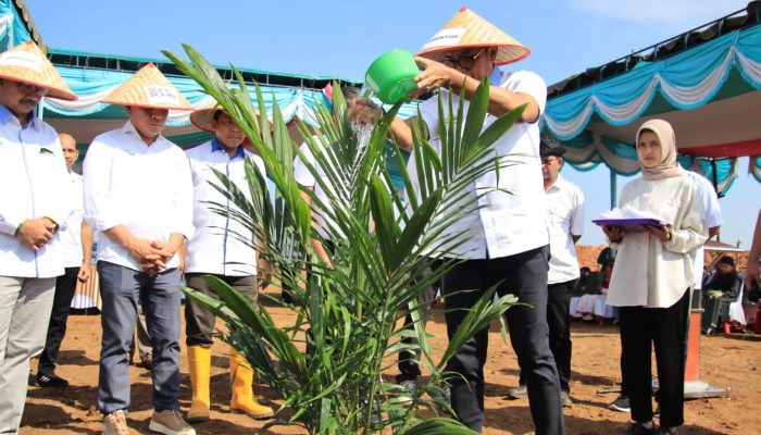 73 Hektar HGU Limau Mungkur Mulai Ditanam Ulang
