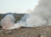 Hutan Dekat TPA Kota Palu Terbakar atau di Bakar