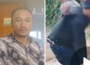 ‘Koboy’ di Areal Tambang Ilegal di Tabong, Darpian: aph jangan tutup mata