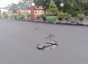 Proyek Pengaspalan Ruas Jalan Propinsi Dalam Kota Buol Baru di Kerjakan Sudah Terkelupas dan Tak Memiliki Papan Informasi