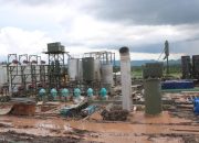 PT. Palma Lestari Jaya telah dua kali Kapalkan CPO, Pemda Buol Kecolongan Tidak Dapatkan Retribusi Kepelabuhanan