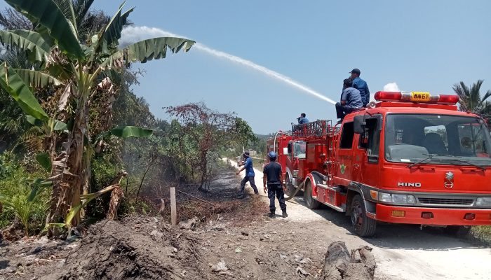 Damkar Kab Buol Lakukan Giat pemadaman Api di Lahan Sagu Kompleks Kanal Kel Leok II