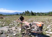 Lakukan Pendampingan, Babinsa Koramil 1307-03/Bada Bantu Petani Mengolah Sawah