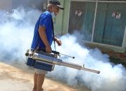 Partai PAN Bantu Rakyat, Basmi DBD dengan mempogging rumah warga