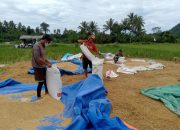 Giat Komsos Babinsa Silanca, Serka Milli Jakson bersama warga desa Silanca