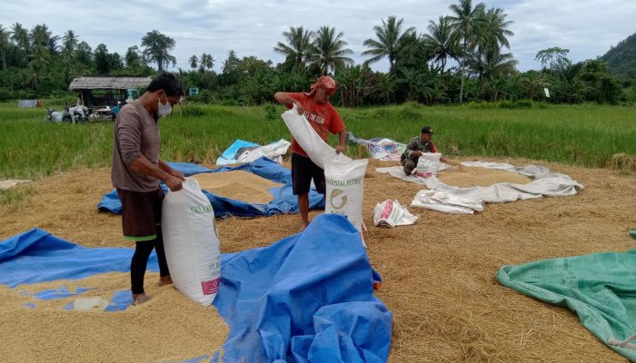 Giat Komsos Babinsa Silanca, Serka Milli Jakson bersama warga desa Silanca