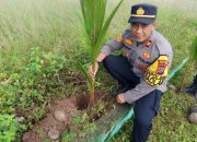tiga kegiatan dalam sehari,kapolsek baolan tanam bibit kelapa dan bhakti religi di dua rumah ibadah berbeda”