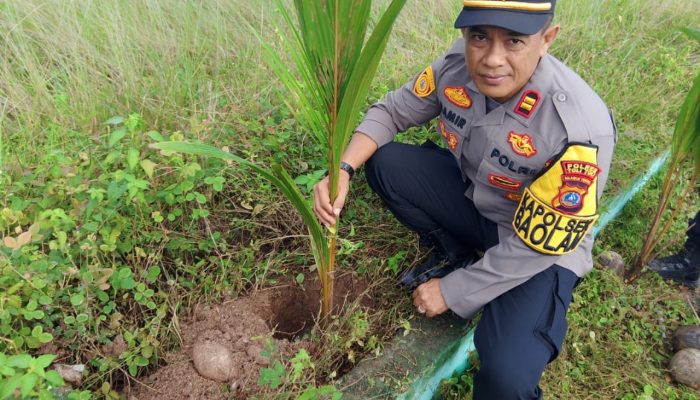 tiga kegiatan dalam sehari,kapolsek baolan tanam bibit kelapa dan bhakti religi di dua rumah ibadah berbeda”