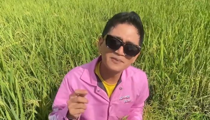 Pemerintah Tolitoli Genjot Produktivitas Pertanian Melalui Beragam Bantuan