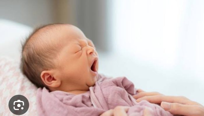 Anggota DPRD Tolitoli diduga Terlibat Kasus Penemuan Bayi di Saluran Air Buol