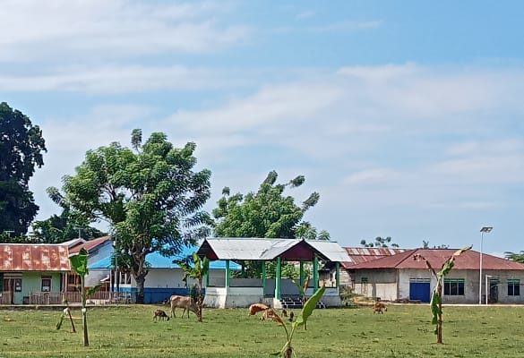 Lapangan Sepak Bola Lamakan Ditanami Pisang Oleh Ahli Waris Keluarga Kibas “Ini Pernyataan Ariman Kibas”