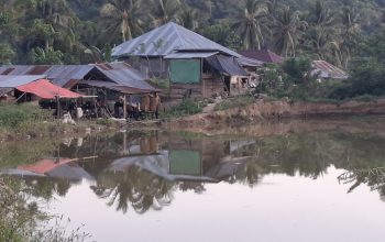 Pembuangan Limbah Tong Emas di Desa Balayo Mencemari Pemukiman, Warga Takut Menyuarakan Protes