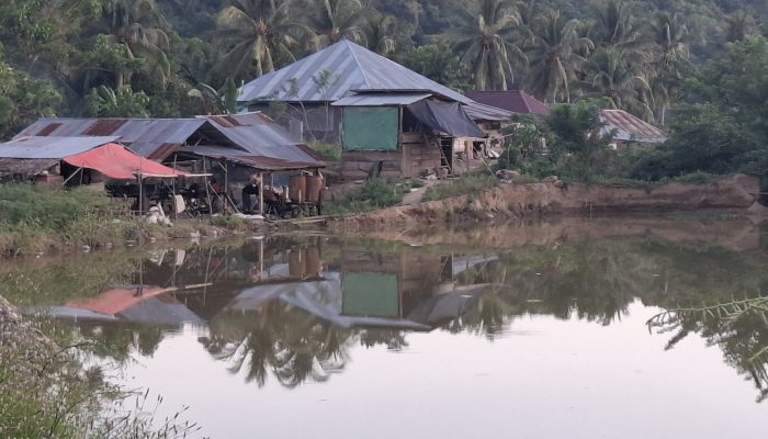 Pembuangan Limbah Tong Emas di Desa Balayo Mencemari Pemukiman, Warga Takut Menyuarakan Protes