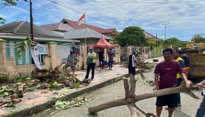 Sekertaris DLH Iskandar Nouk Pimpin Kegiatan Pemangkasan pohon Untuk Menjaga Keselamatan Para Penguna Jalan