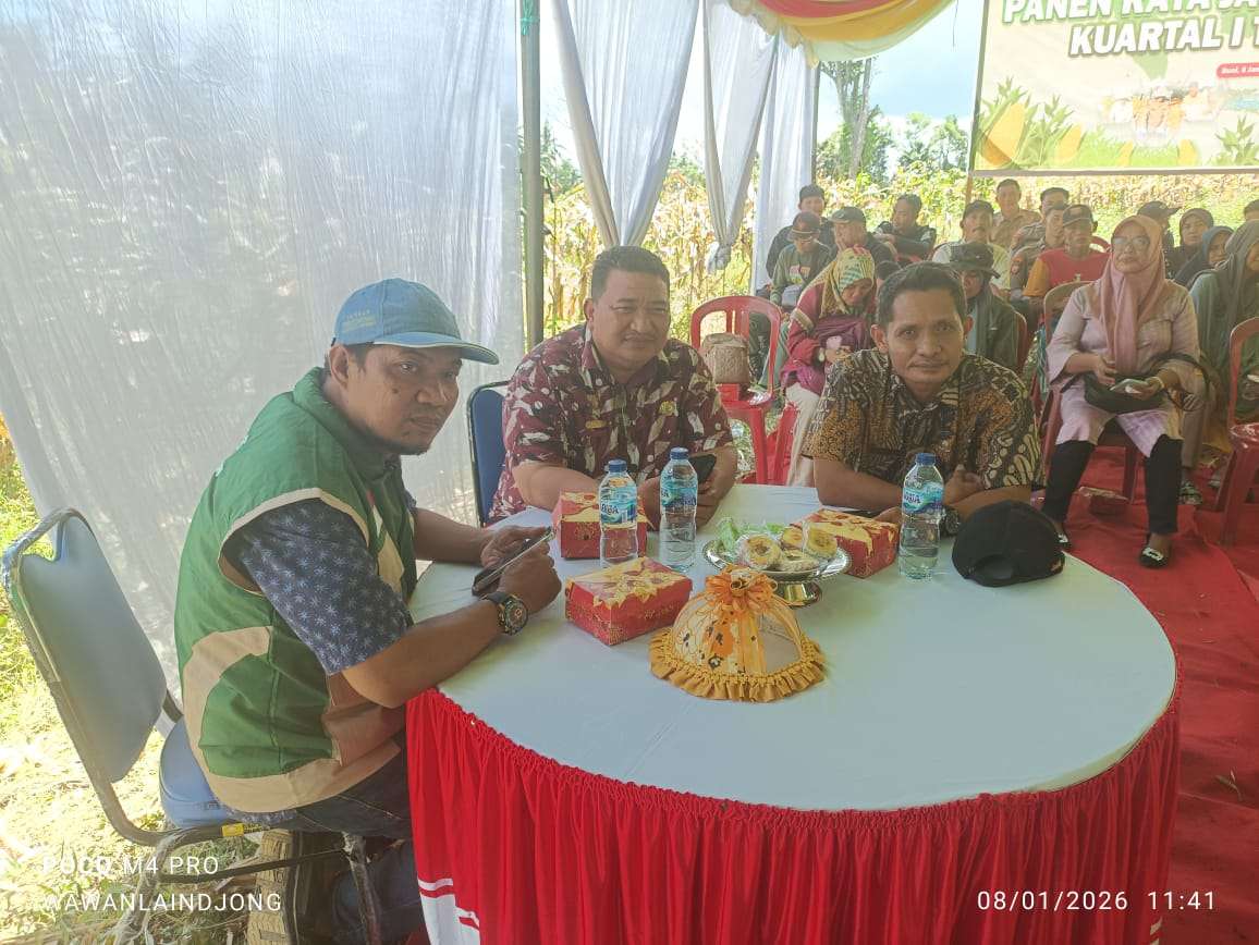 Panen Jagung Serentak Kuartal I 2026 Digelar di Kelurahan Kulango, Camat Biau Apresiasi Peran Petani