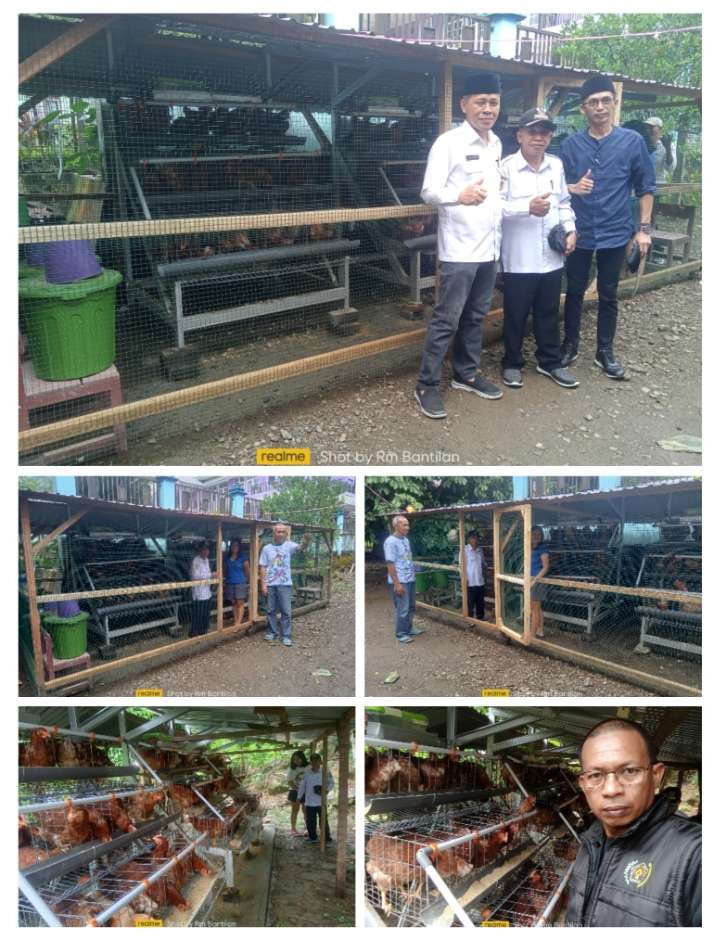 Kadis PMD Buol Didampingi Kadis BPKAD Kunjungi Desa Tolau, Tinjau Langsung Usaha Ayam Petelur Warga