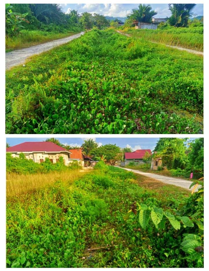 Kanal di Leok II Dipenuhi Rumput Liar, Warga Khawatir Banjir Saat Musim Hujan