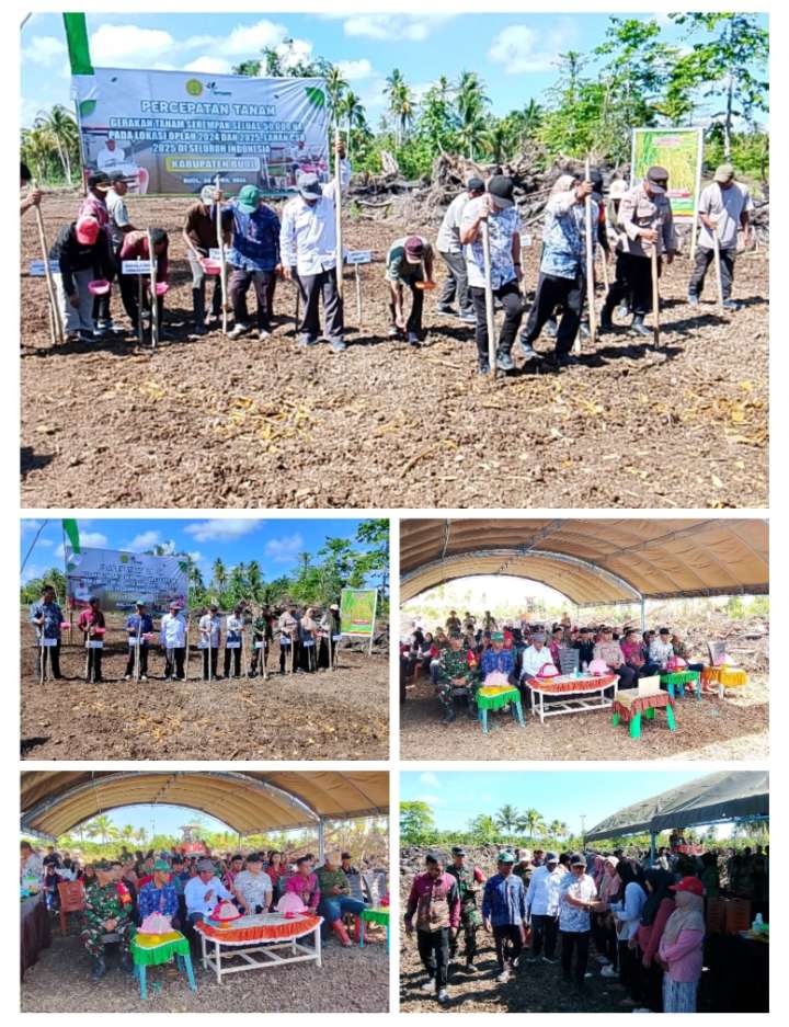Bupati Buol Hadiri Gerakan Tanam Serempak 50.000 Hektare di Desa Pomayagon, Dorong Buol Jadi Lumbung Pangan Sulawesi Tengah