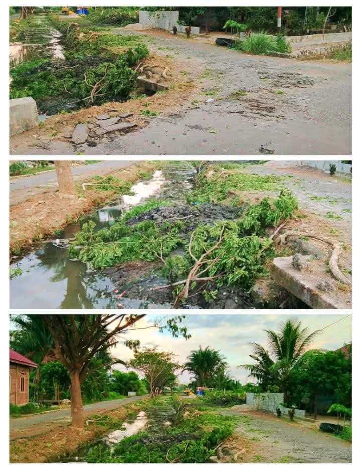 Pekerjaan Penebangan Pohon di Kompleks Kanal Leok II Amburadul, Jalan Dipenuhi Kayu, Lumpur dan Aspal Rusak