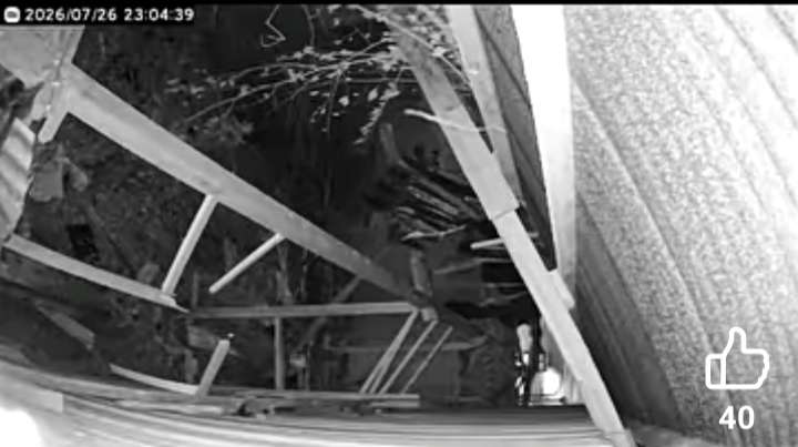 Viral Rekaman CCTV Diduga Tampilkan Perbuatan Asusila di Buol, Warga Minta Aparat Lakukan Penyelidikan