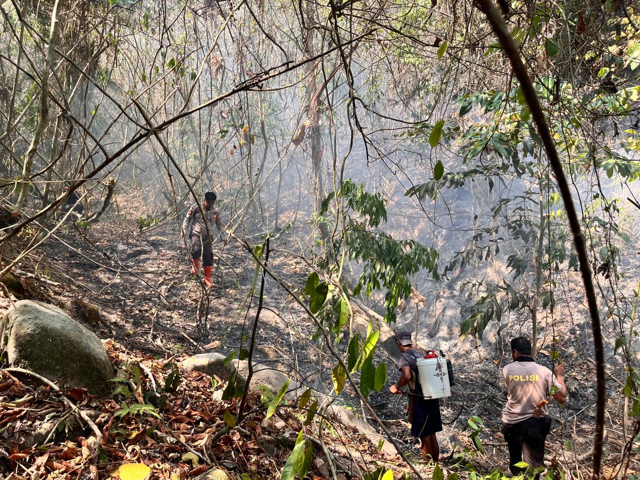 Kebakaran Lahan di Dampal Utara, Sekitar 6 Hektare Terbakar