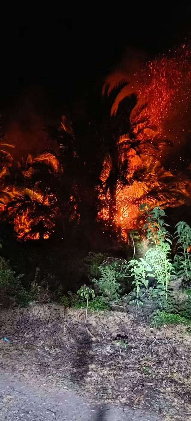 Karhutla Kembali Berkobar di Mangubi, Bupati Buol Ancam Evaluasi Camat hingga Kades