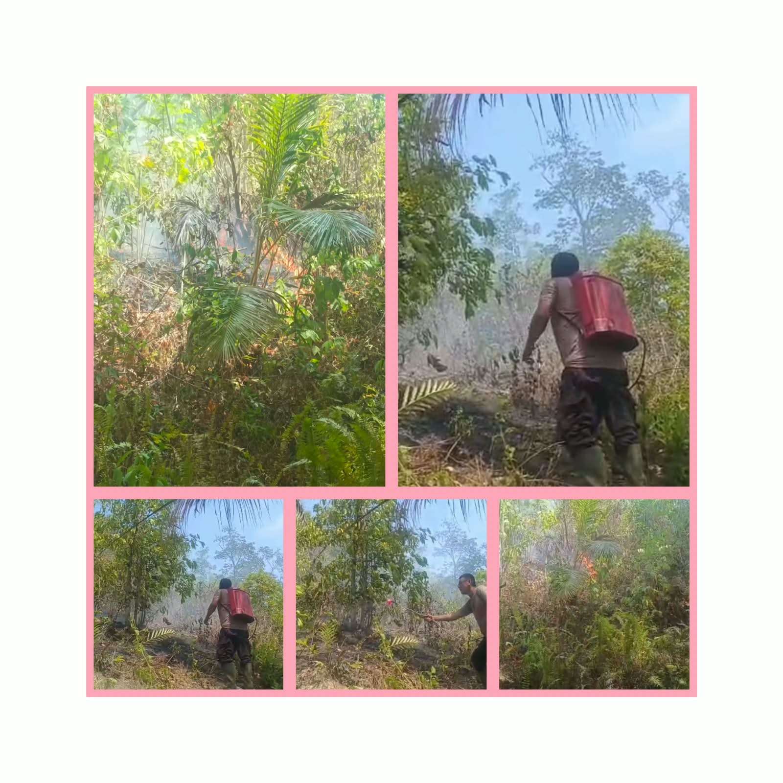 Bhabinkantibmas sigap bantu warga dan Babinsa padamkan Karhutla kebun kelapa yang merembet ke Gunung